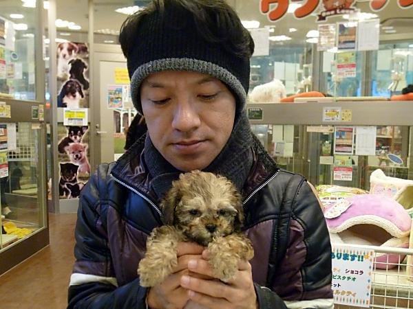 写真