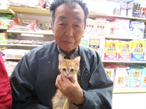 写真