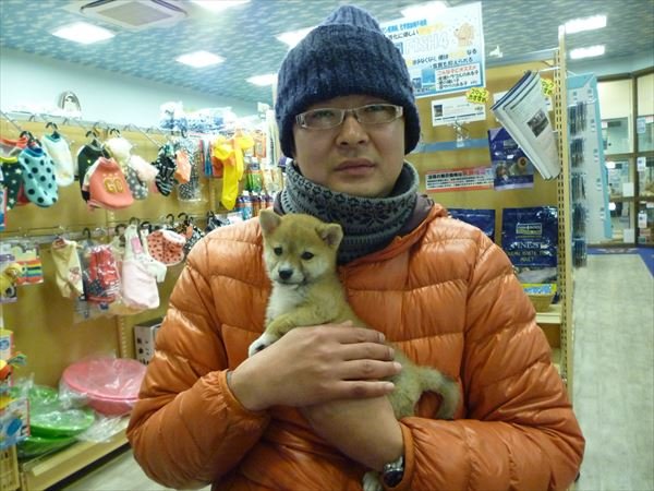 写真