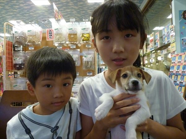写真