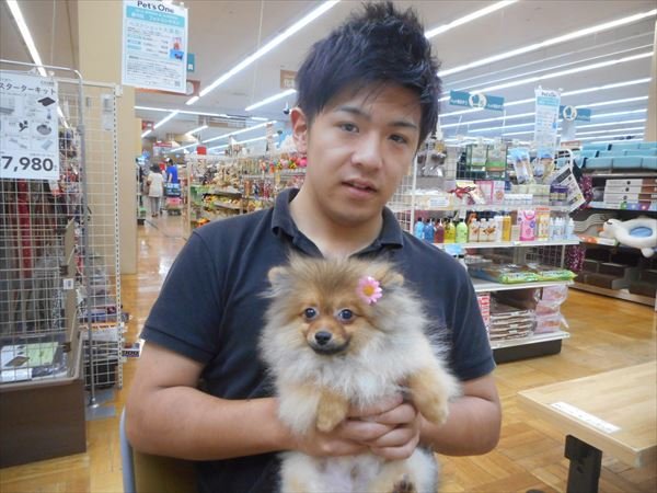 写真