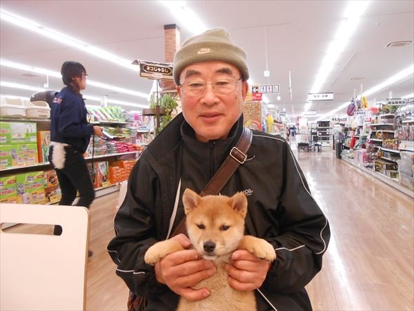 写真