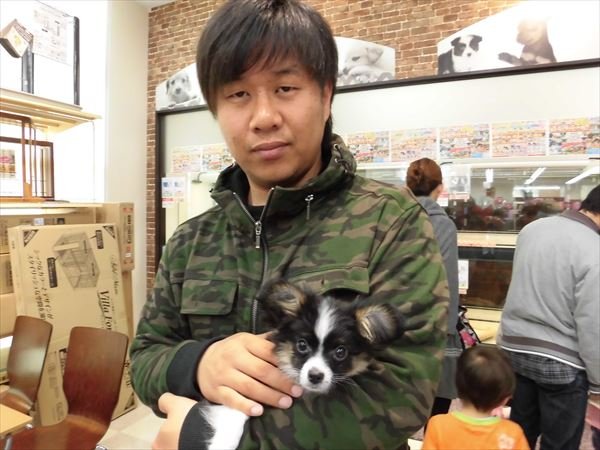 写真