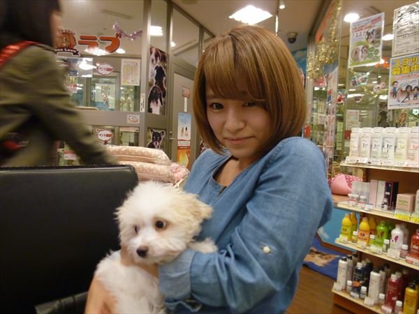 写真