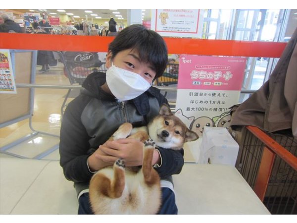 写真