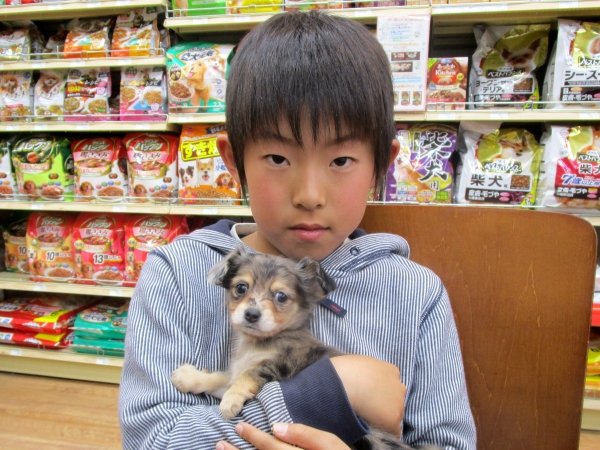 写真