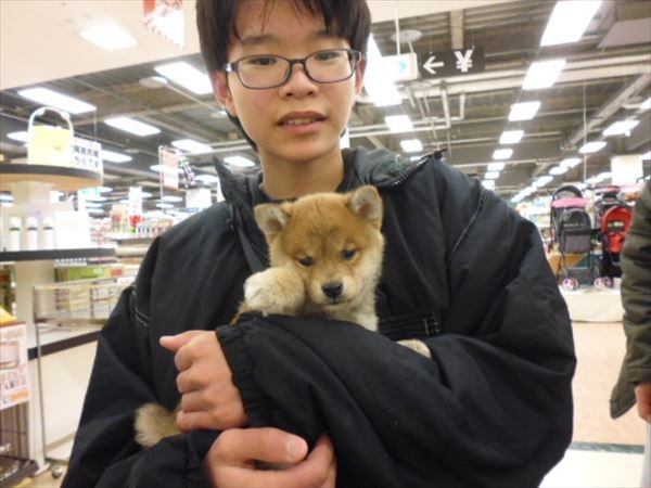 写真
