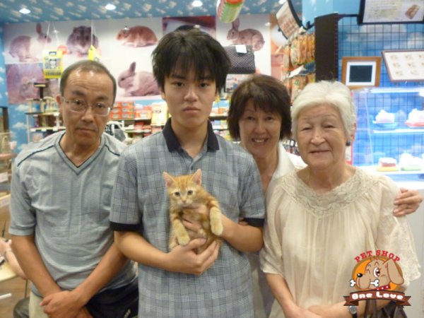 写真