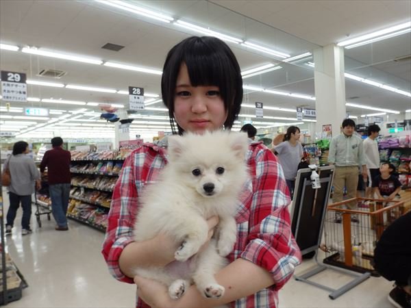 写真
