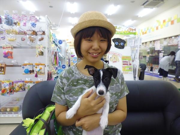 写真