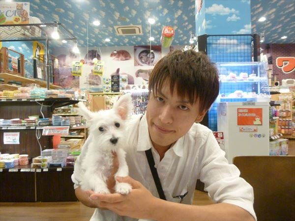 写真
