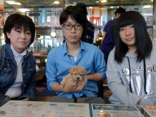 写真