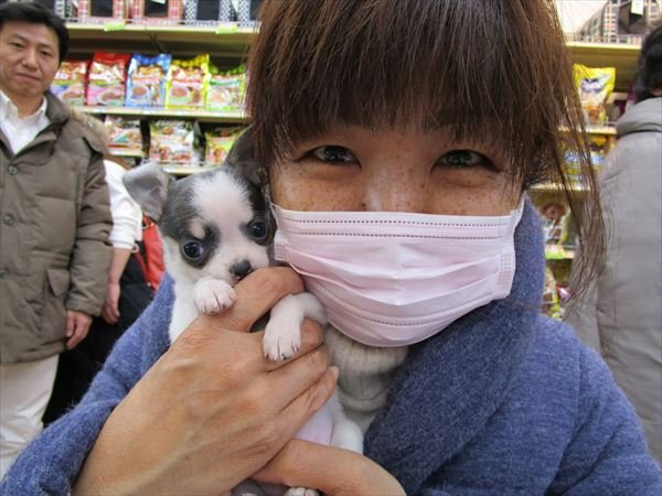 写真
