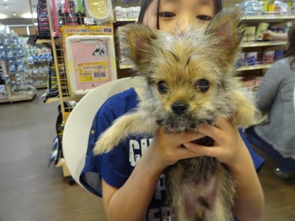 写真