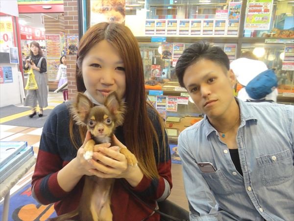 写真
