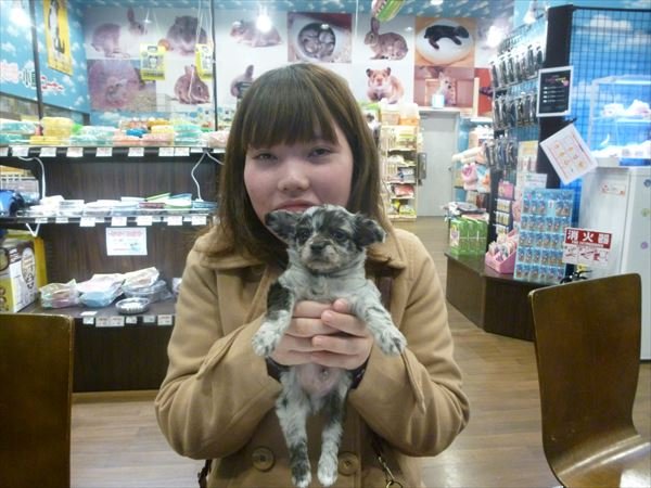 写真