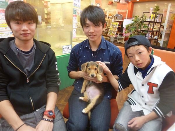写真