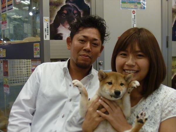 写真