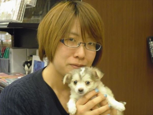 写真