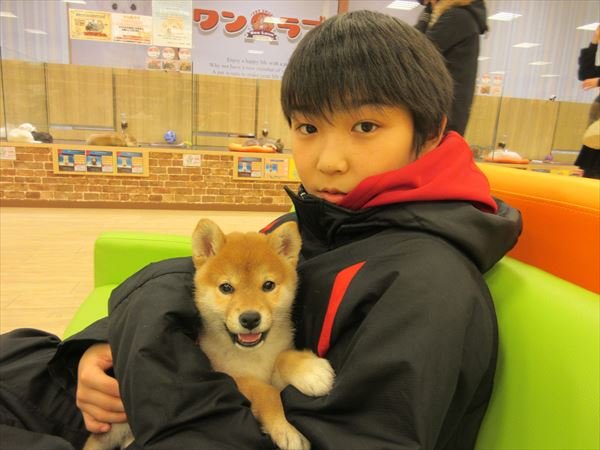 写真