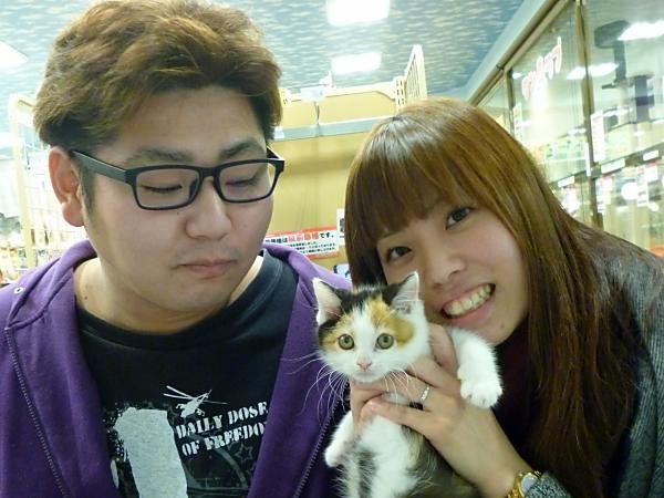写真