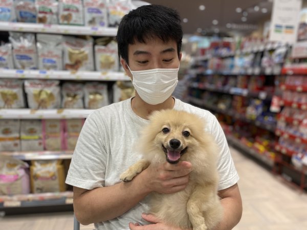 写真