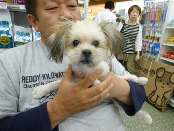 写真