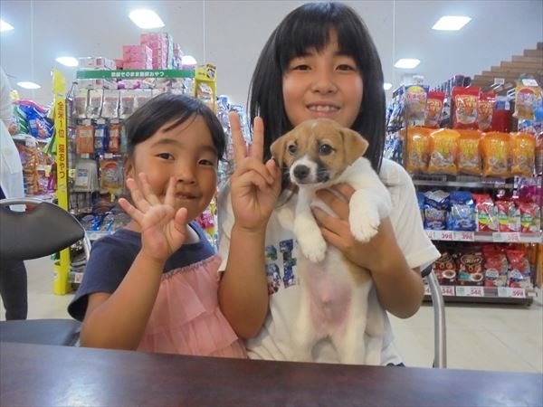 写真