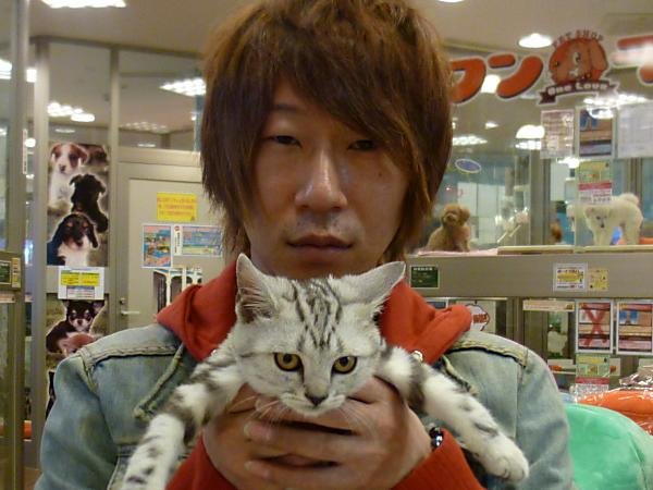 写真
