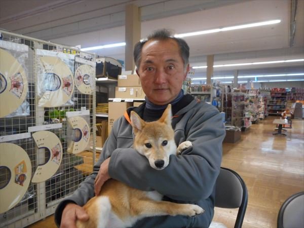 写真