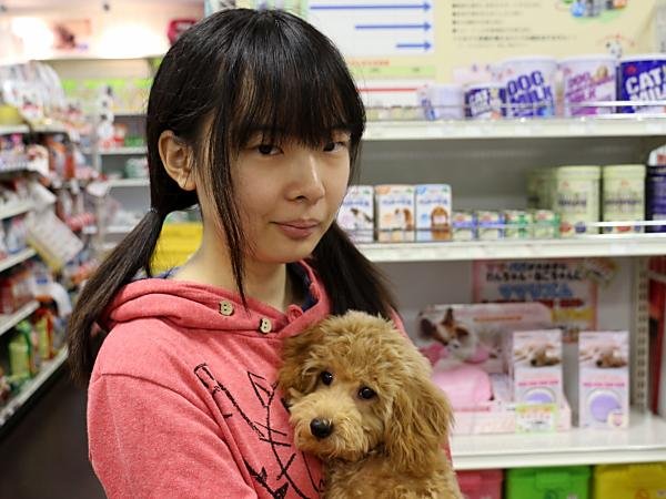 写真