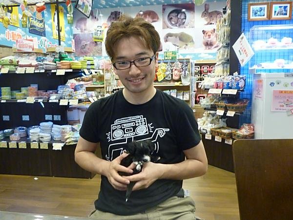 写真