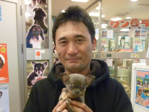 写真