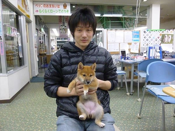 写真