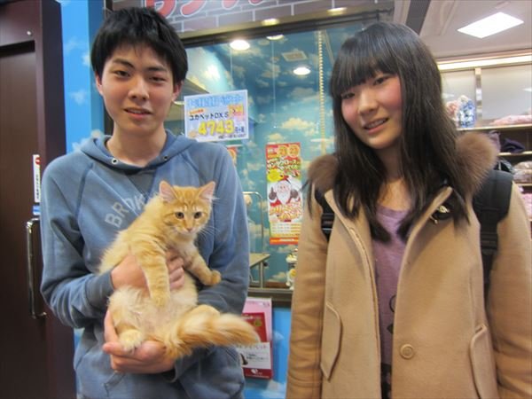 写真