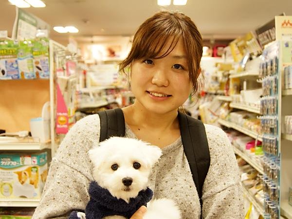 写真