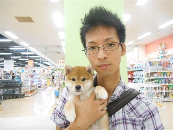 写真
