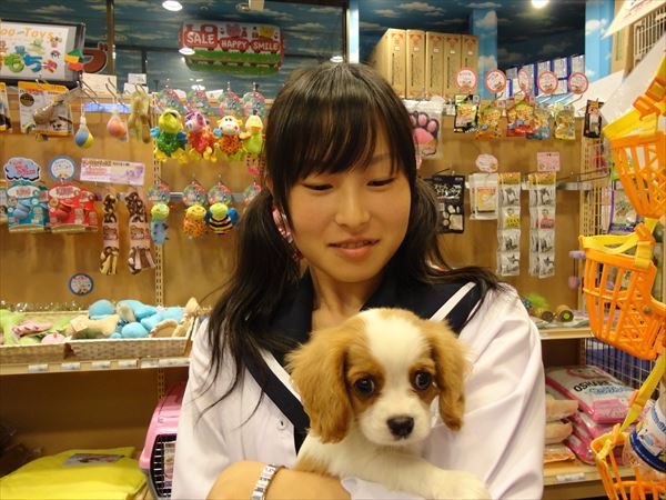 写真