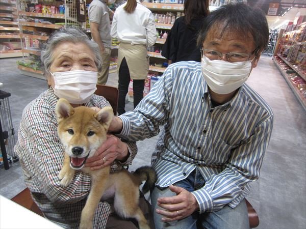 写真