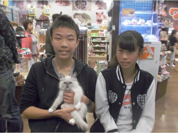 写真