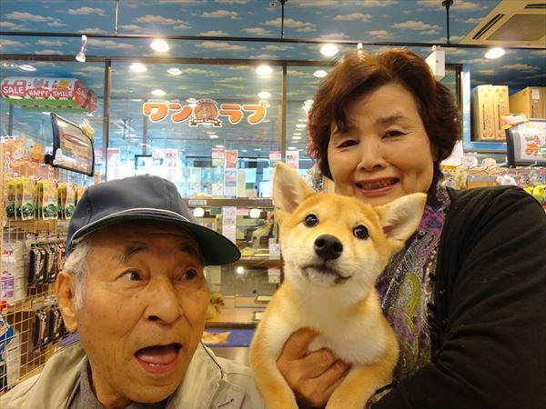 写真