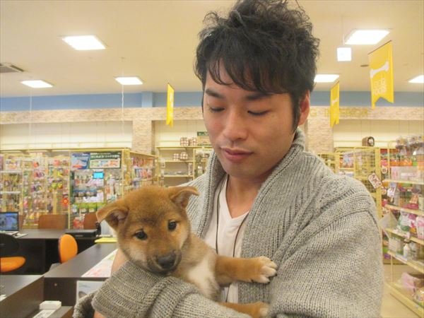 写真
