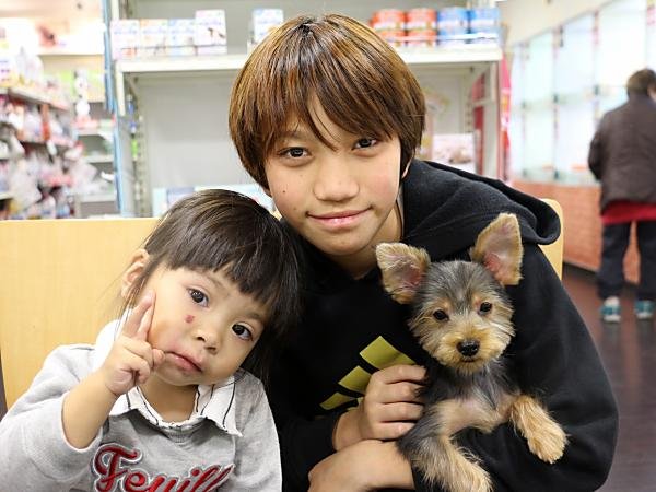 写真