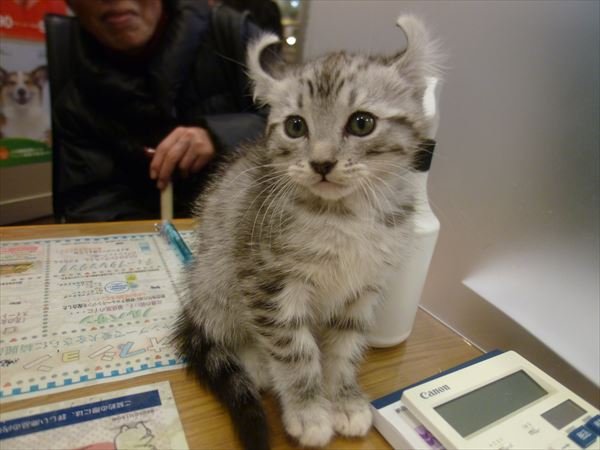 写真