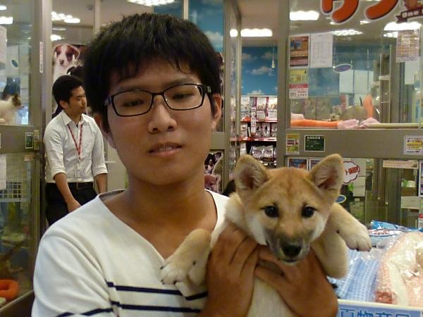 写真