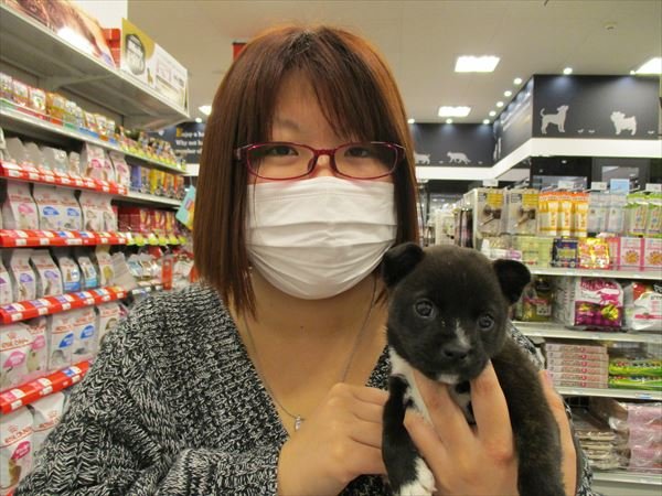 写真