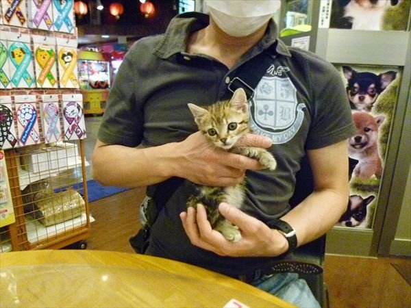 写真