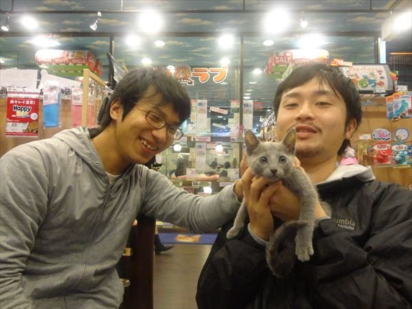 写真