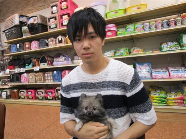 写真