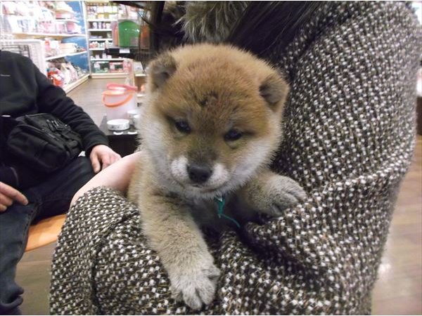 写真